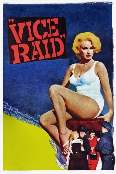 Vice Raid poster