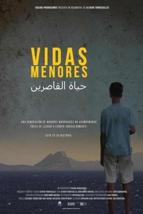 Vidas menores poster