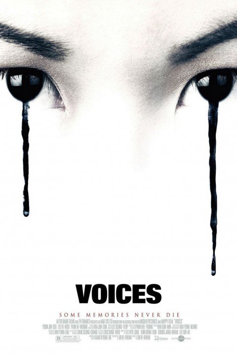 Voices poster