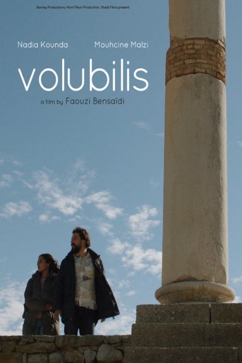 Volubilis poster