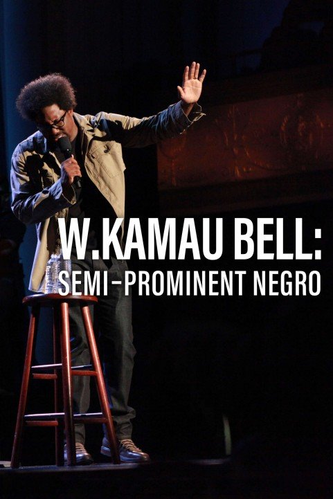 W. Kamau Bell: Semi-Prominent Negro poster