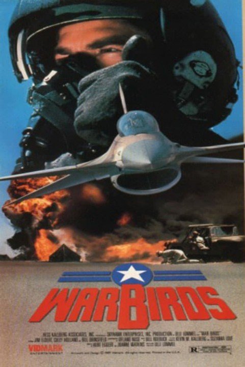 Warbirds poster