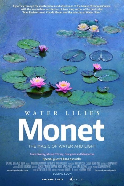 Water Lilies by Monet poster