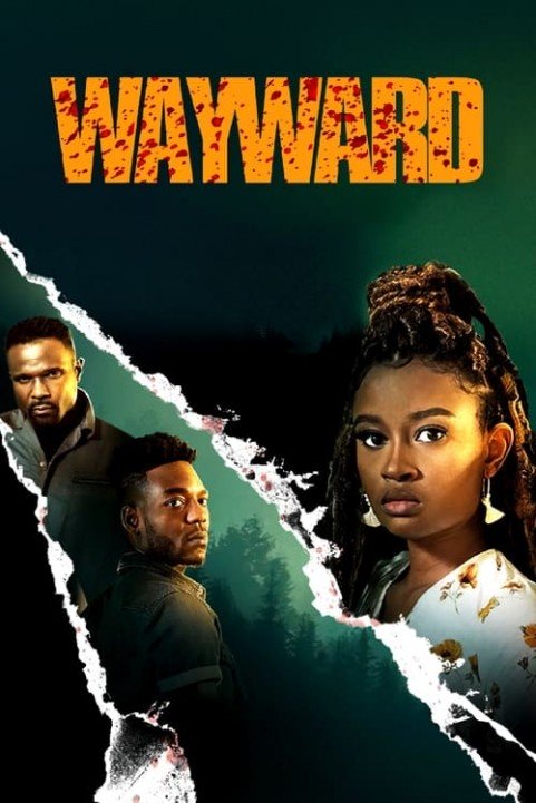 Wayward poster