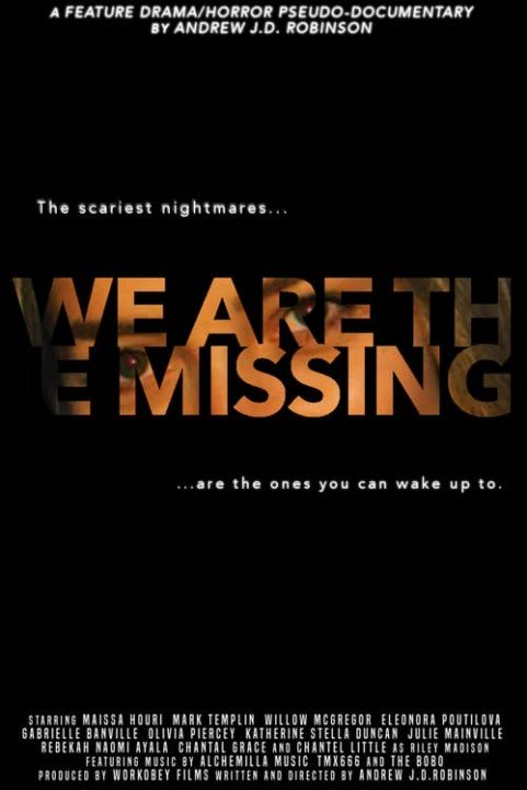 We Are The Missing poster