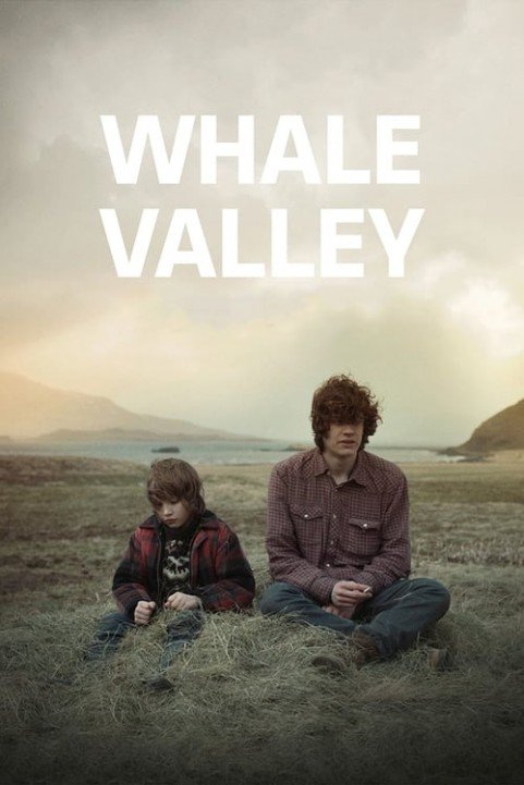 Whale Valley poster