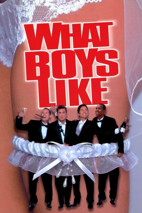 What Boys Like poster