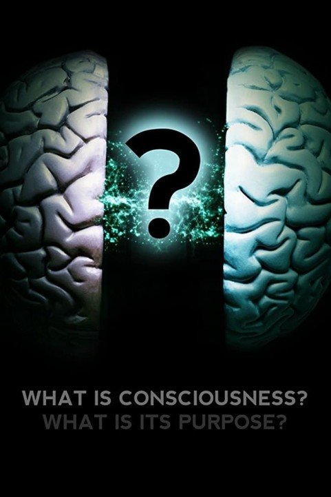 What Is Consciousness? What Is Its Purpose? poster