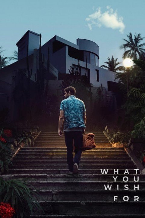 What You Wish For poster