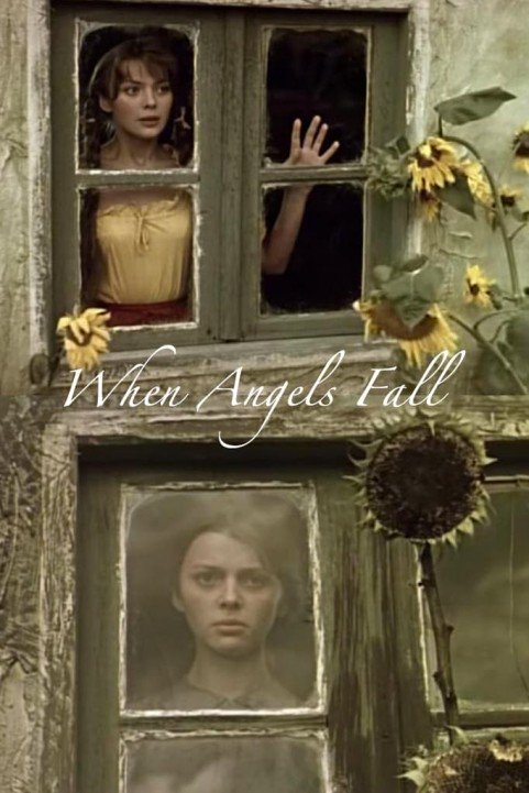 When Angels Fall poster