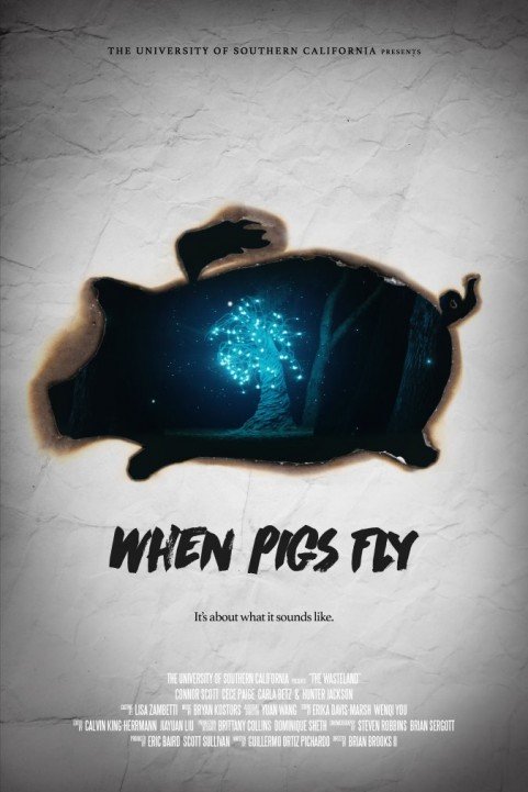 When Pigs Fly poster