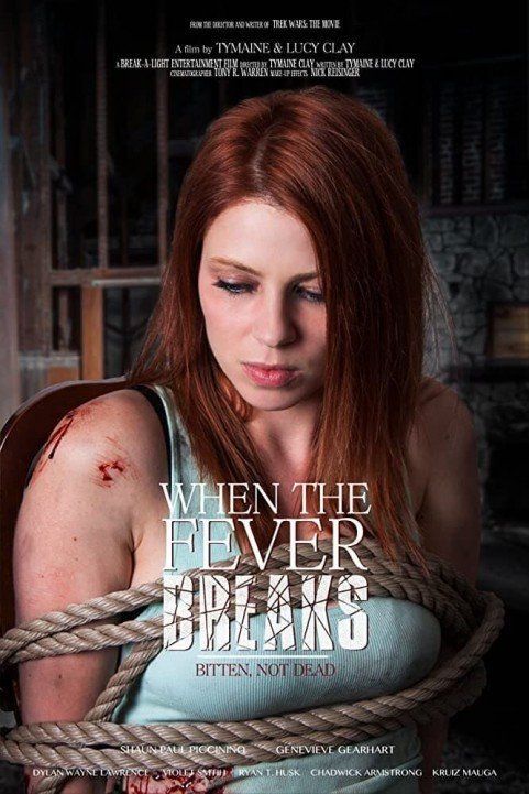 When the Fever Breaks poster