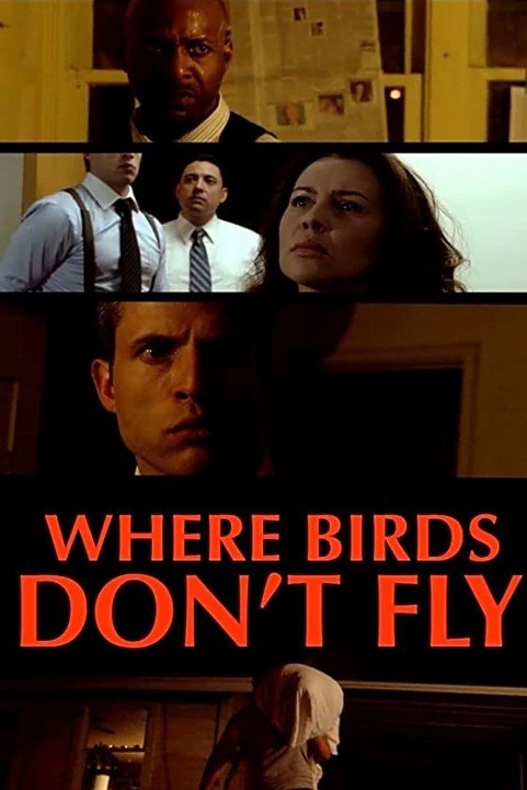 Where Birds Don't Fly (2017) poster