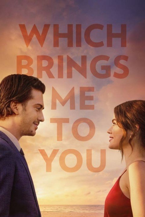 Which Brings Me to You poster