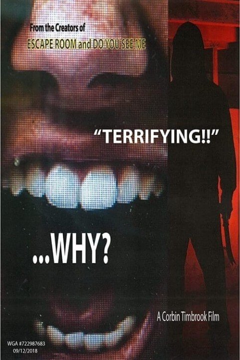 Why? poster