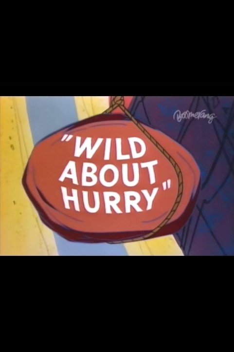 Wild About Hurry poster