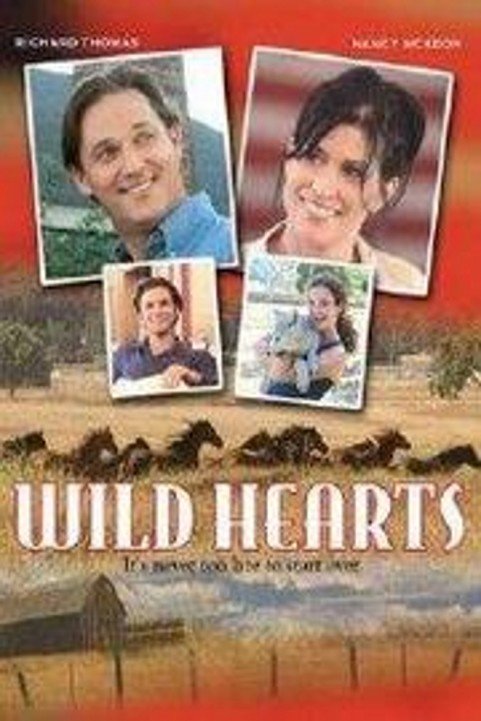 Wild Hearts poster