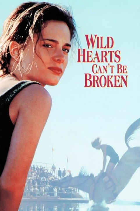 Wild Hearts Can't Be Broken poster