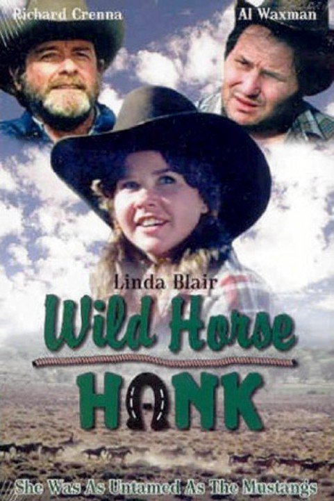 Wild Horse Hank poster