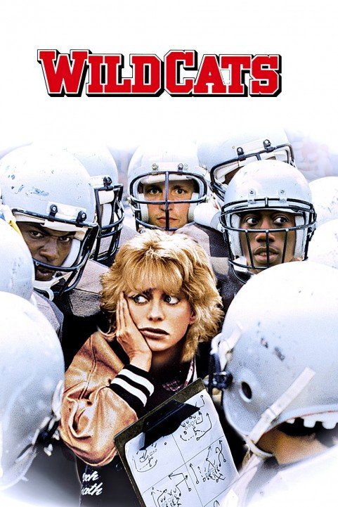 Wildcats poster