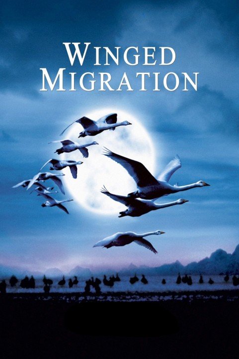 Winged Migration poster