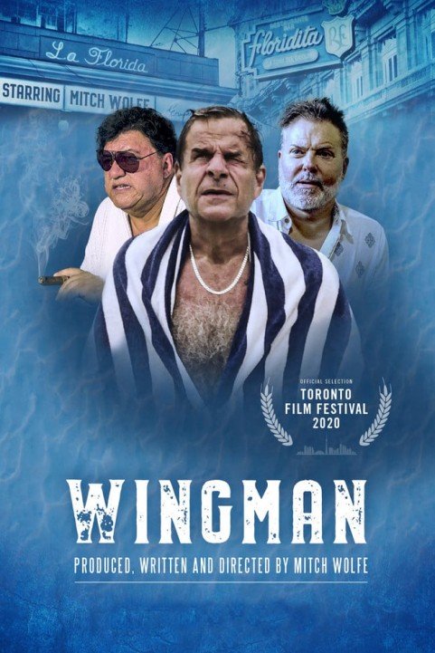 WingMan poster