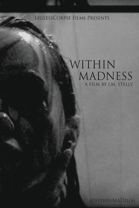 Within Madness poster