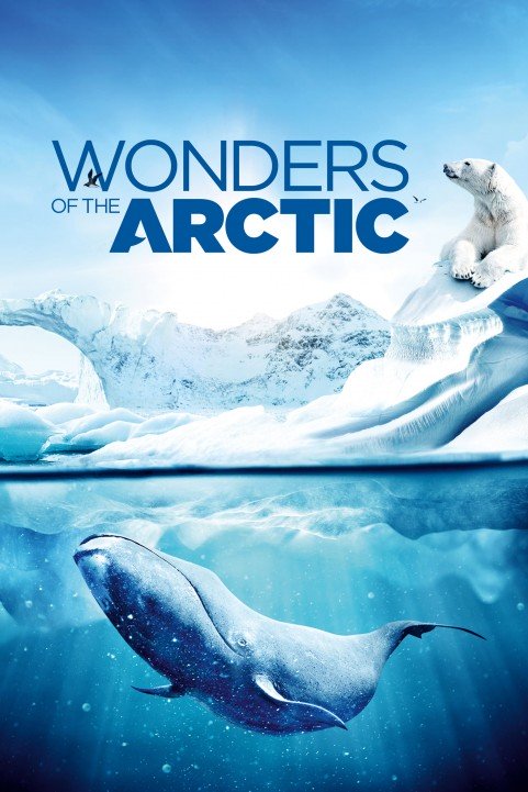 Wonders of the Arctic poster