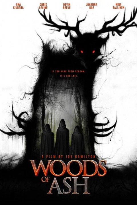 Woods of Ash poster