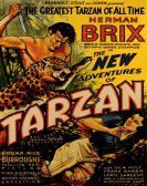 The New Adventures of Tarzan poster