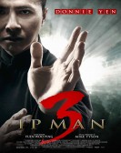 Ip Man 3 (2015) Free Download