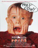 Home Alone (1990) Free Download