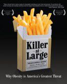 Killer at Large Free Download