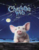 Charlotte's Web Free Download