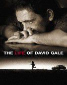 The Life of David Gale Free Download