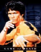 Game of Death - 死亡遊戲 (1978) Free Download