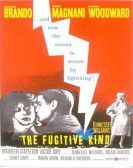 The Fugitive Kind poster