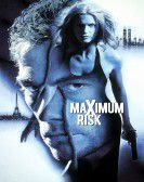 Maximum Risk poster