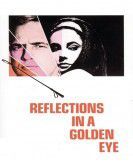 Reflections in a Golden Eye Free Download