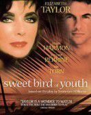 Sweet Bird of Youth Free Download