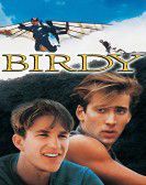 Birdy Free Download