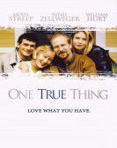 One True Thing Free Download