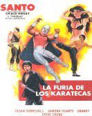 La furia de los karatecas Free Download