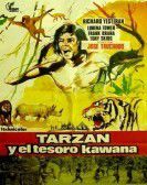 Tarzán y el tesoro Kawana poster