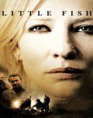 Little Fish poster