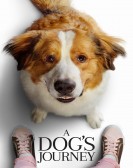 A Dog's Journey (2019) Free Download