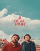 poster_a-real-pain_tt21823606.jpg Free Download