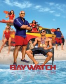 poster_baywatch_tt1469304.jpg Free Download