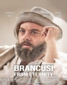 Brancusi from Eternity Free Download