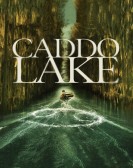 Caddo Lake Free Download